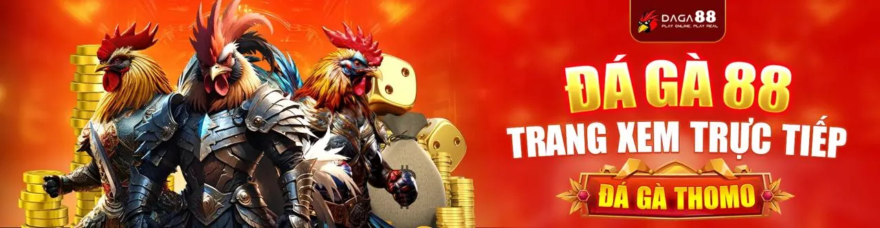 Đá Gà Trực Tuyến New888 Code