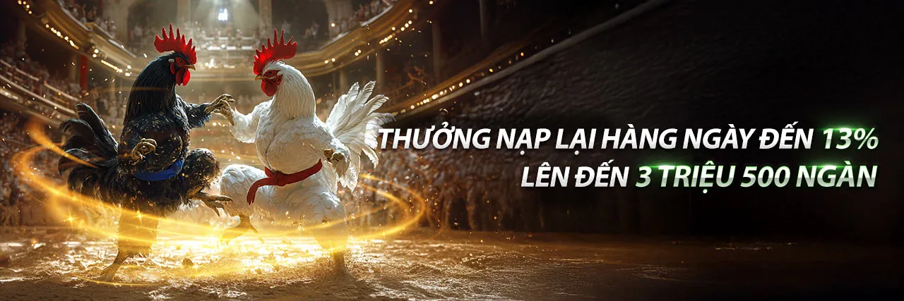 Hoàn trả cao cho cá cược thể thao và casino